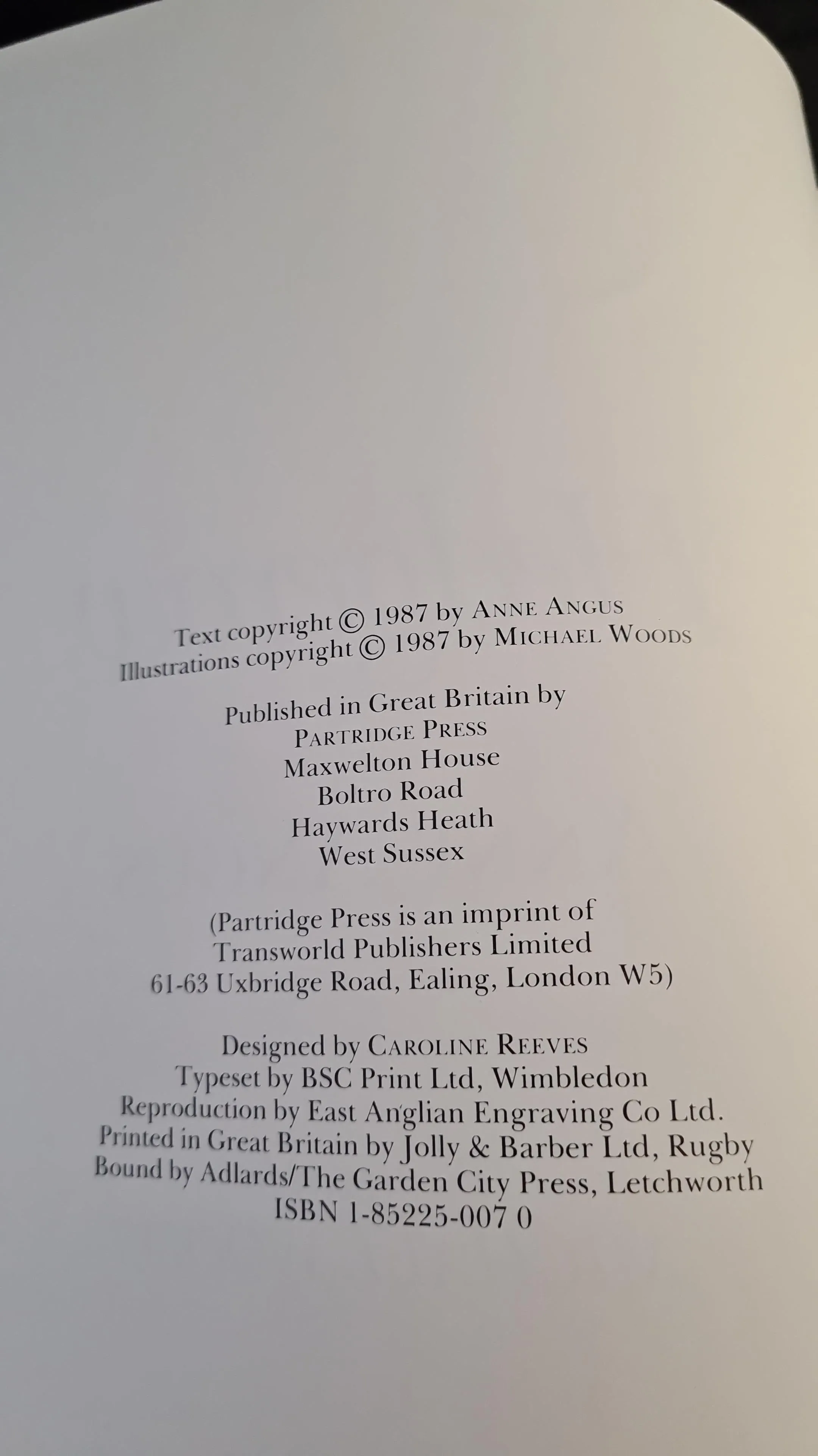 Anne Angus - Hedgerow, Partridge Press, 1987