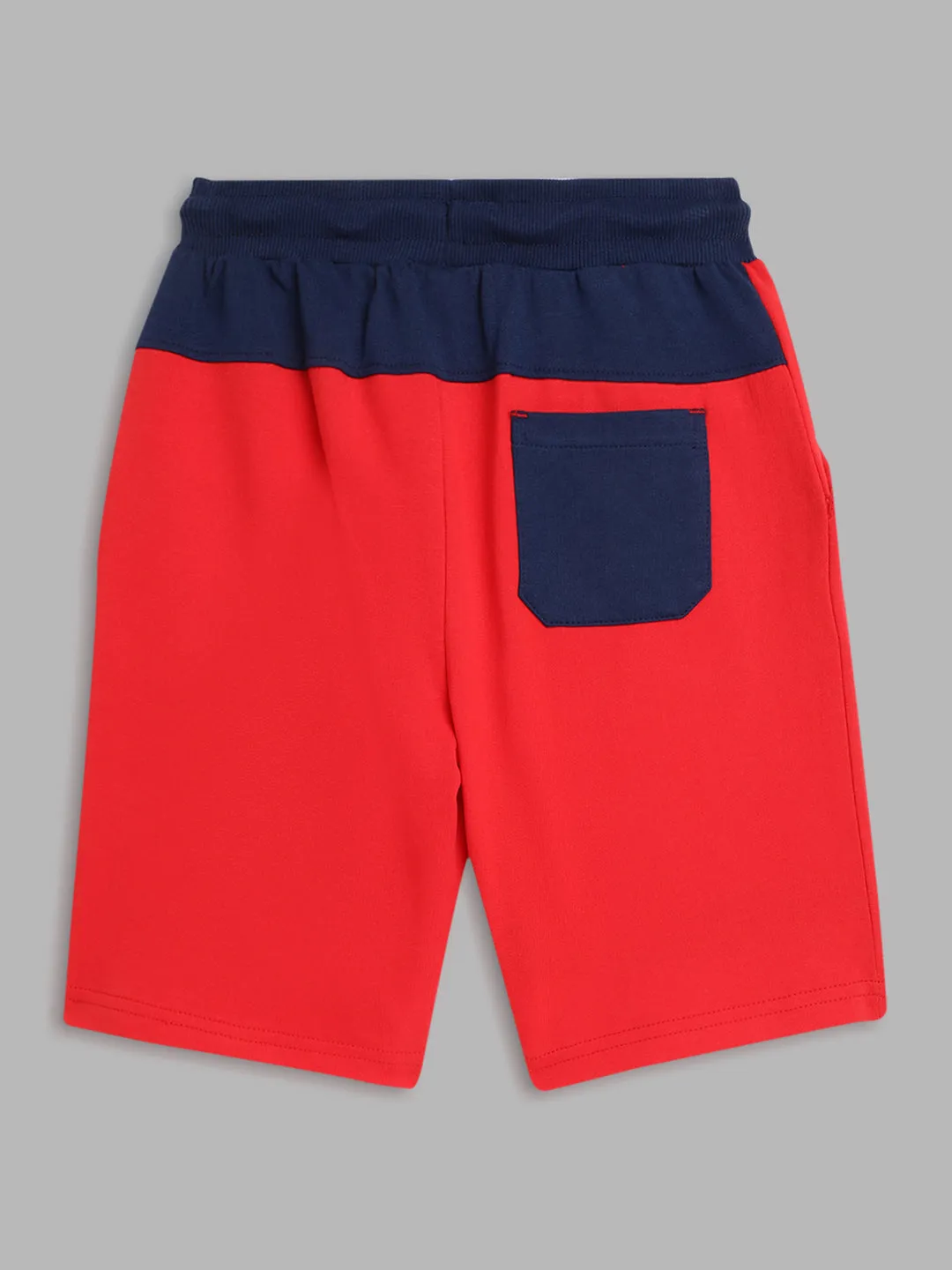 Blue Giraffe Boys Multicolor Printed Straight Fit Mid-Rise Shorts