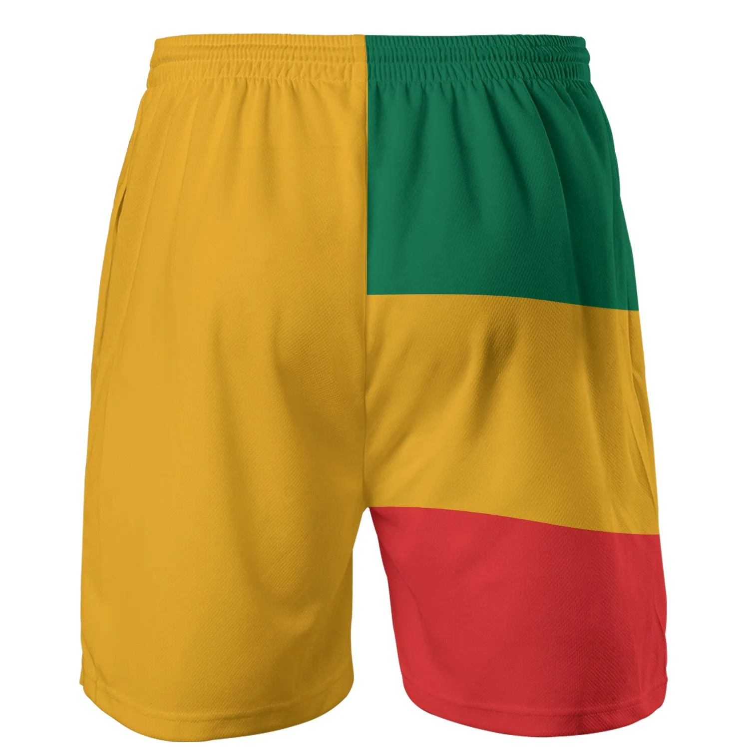 Lion Of Judah Athletic Rasta Shorts