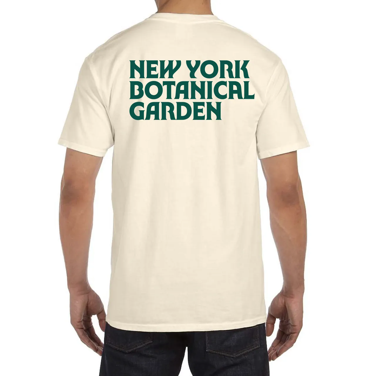 NYBG Owl T-shirt | Ivory