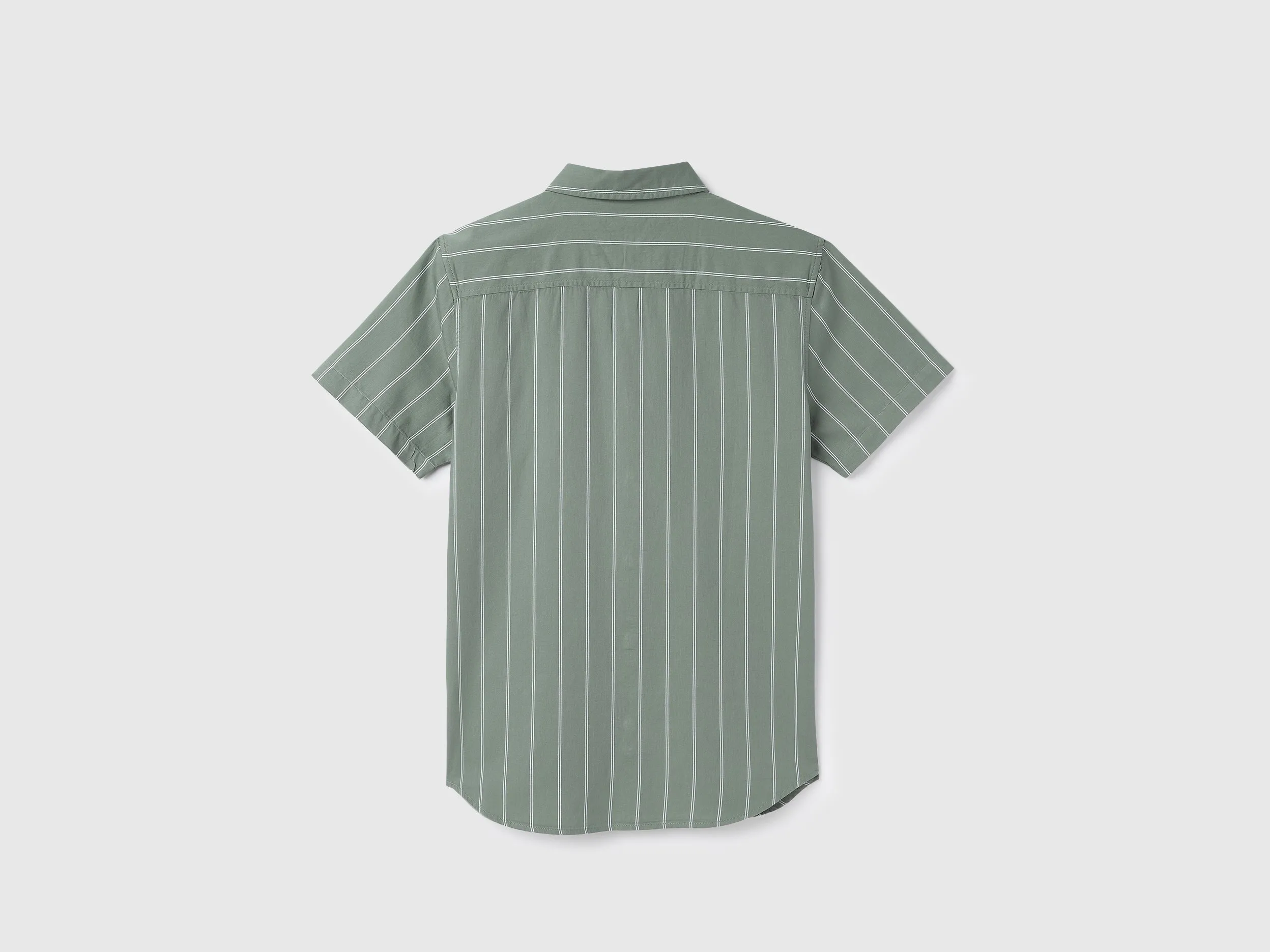 Regular Fit Spread Collar Striped Shirts