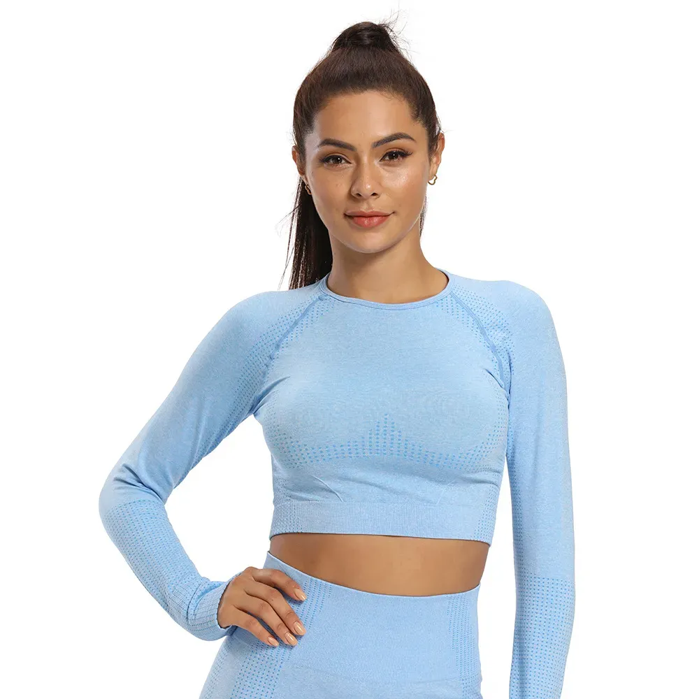 Violet Vibes Long Sleeve Seamless Crop Top